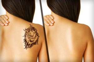 �������� ���� � ������� - ����������� 1