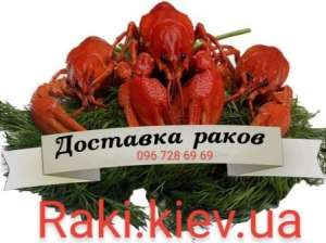 �������� ���� ����� ����� - ����������� 1