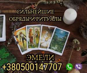 �������� ����. ������ �����. - ����������� 1