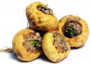 �������� ���� ���������� - ����������� 1