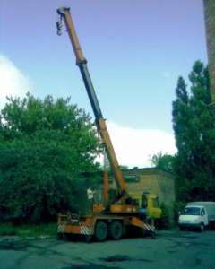 �������� ����� 815, 1990 �, 14�, ������ 13�, ��������, ������� 10� - ����������� 1