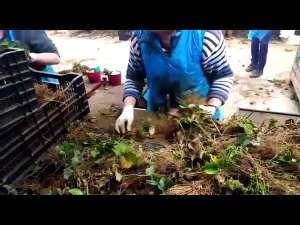 �������� ����� � ������-����������� �������� �������� - ����������� 1