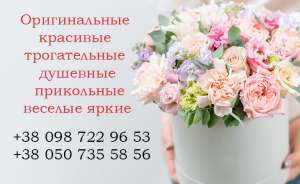 �������� ����� �� �����. ������������ � ����� - ����������� 1