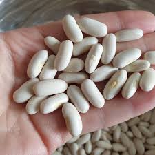 �������� ����� ��� ������� - ����������� 1