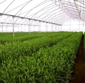 �������� ����� ����� ������ - ����������� 1