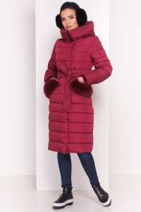 �������� ����� ������� ������, ��������� ������ ���� 2018-2019 - ����������� 1