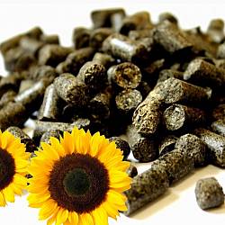 �������� ����� �������, ������� - ����������� 1