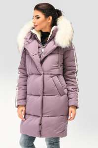 �������� ����� ������� ���������, ������ ���� 2018-2019 - ����������� 1