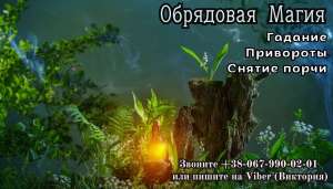 ��������, �����, �������. ���������� ��������. - ����������� 1