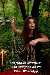 �������� �����. �������� � �����. - ����������� 1