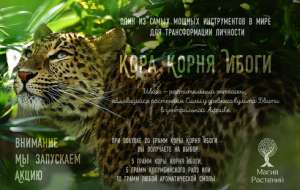 ��������! ����� �������� ��������� ����� - ����������� 1