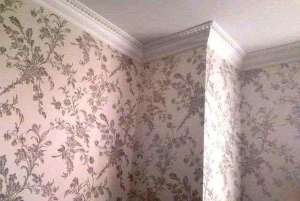 �������� ����� �������� ����������� - ����������� 1