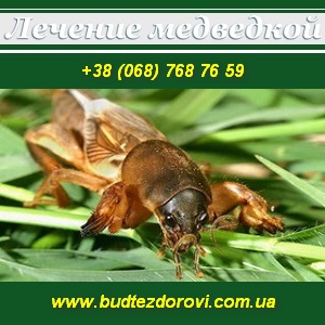 �������� ����� ����������. - ����������� 1