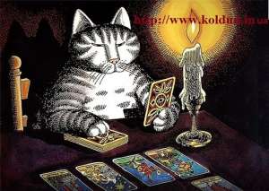 �������� �����. ����������� ������� - ����������� 1