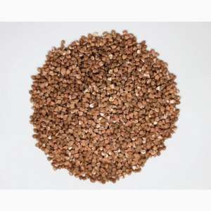 �������� ������ - ����������� 1