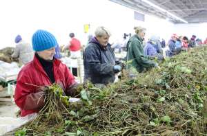 �������� ������ � ������ �� �����������. ������ ����� - ����������� 1