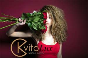 �������� ������ � �������� �� Kvitolux - ����������� 1