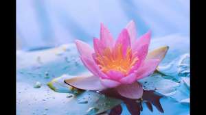 �������� ������ �� ������, �������� , ����� - ����������� 1