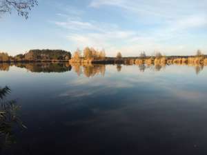 �������� ������ �� ���������� �� ���������� � �. ������ - ����������� 1