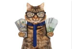 �������� ������ ��� ����� �������� �� �������� ��������� ��� 1,5% � ����� - ����������� 1