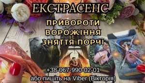 �������� ������ . ������ �����. �������� �����������. - ����������� 1