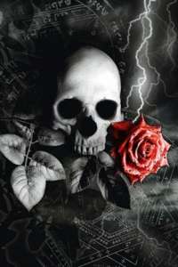 ��������, ������ ��������, �������� ��������, ������� �� ����, ��. �����, ������� ������� ������ �������, �����, �������� foto� - ����������� 1