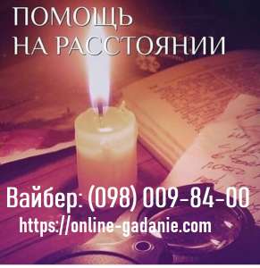 �������� ������ �����������. ������ �������. - ����������� 1