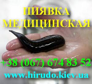 ��������. ������ �����������. �������������. - ����������� 1