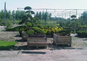 �������� ������, ������������, ����, ������������ ��������, ��������. - ����������� 1