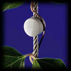 �������� ������� - ����������� 1