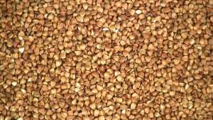 �������� ������� - ����������� 1