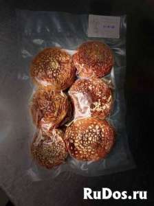 �������� ������� ��� ������������ - ����������� 1