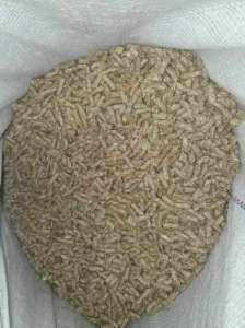 �������� ������� ����. ������� ������� ���� - ����������� 1