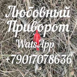 ��������, ������� ����, ����������, ����� ����� - ����������� 1