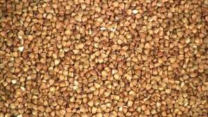 �������� ������� ����� �� 5 ���� - ����������� 1