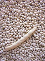 �������� ������� ����� ��� - ����������� 1