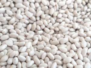 �������� ������� ������� ����� ����� - ����������� 1