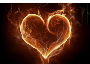 ��������, ������� �������, ������� �������. ������� ����. - ����������� 1