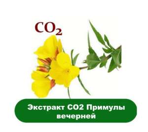 �������� ������� �������� - ����������� 1