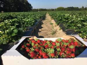 �������� �������� �� ��� ��������, ����� 2023, �. ������� - ����������� 1