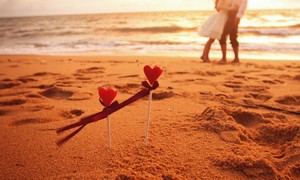 �������� �������� �� ���� � �������. ���������� ������. ������� ���� � ����� - ����������� 1