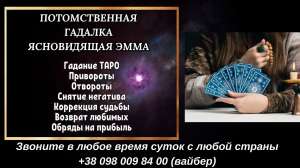 �������� �������� ����. ������ ����� ����. - ����������� 1