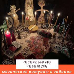 �������� �������� ����. ������� ����. ������ �����. ������ ���� � ����� - ����������� 1