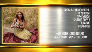 �������� �������� ����. ������������ ���������. ������ ����� ����. - ����������� 1