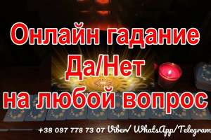 �������� ��������. ������ �������. �������. - ����������� 1