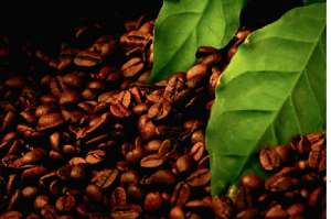 �������� �������� ������� ���� - ����������� 1