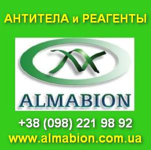 ��������, ��������, �������, ������ ���. ������������ ��������. - ����������� 1