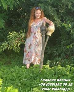 �������� �������� �������. ������ ����� �������. - ����������� 1