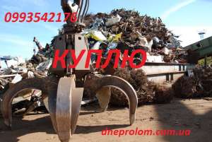 �������� ����������, ����� ����, ������. - ����������� 1