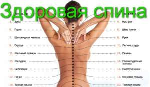 �������� ���������� + ��������� �����, ���������, ������ - ����������� 1